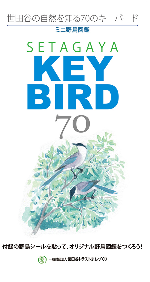 KEY BIRD 70