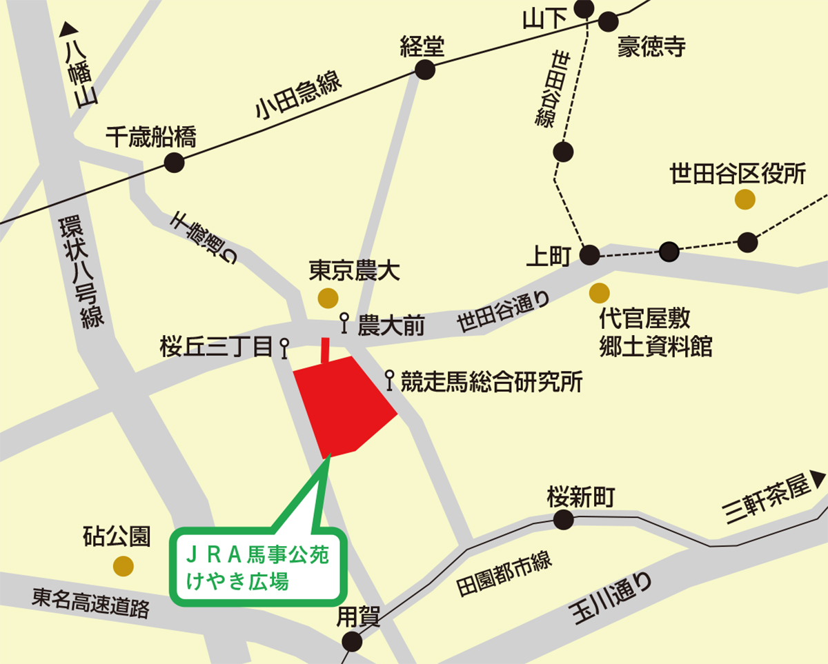 交通案内